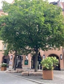 Möblierte 3-Zimmer-Wohnung im Herzen von Nürnberg - Nürnberg