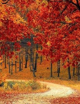 Hallo ich suche eine Freundin - Bad Arolsen