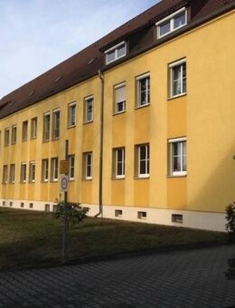 Am lausitzer Seenland - Lauta