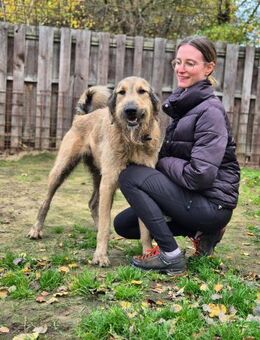 Belial Wilbert von Barthausen - Schwielowsee