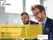 Business Controller (m/w/d) - Uhingen