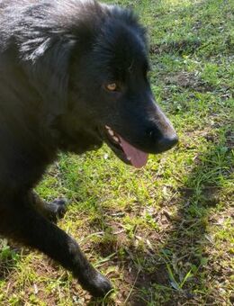 Nerone auf Warteschleife - Marienfließ