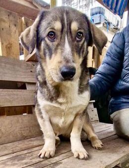 Erik ist so traurig - Koblenz