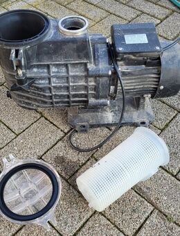 Brilux Poolpumpe guter technischer Zustand - Allstedt
