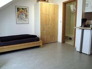 Modern möbliertes Studioapartment - Ludwigshafen (Rhein)