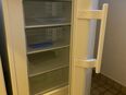 Gefrierschrank in 48291