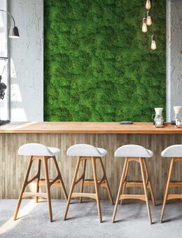 Marburg Vliestapete Tapete Mooswand, geprägt, moderne Vliestapete für Wohnzimmer Schlafzimmer Küche