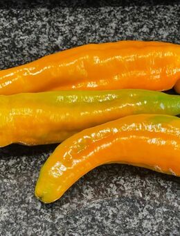 Verschiedene Paprikasamen - Stuttgart