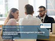 Datenanalyst Kundenmanagement (m/w/n) im Vertriebsbereich - Düsseldorf