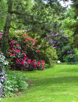 Kleines Glück! Komplett überarbeitete DHH mit großem Garten in Mülheim-Broich - Mülheim (Ruhr)