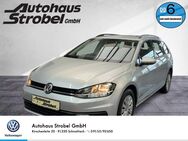 VW Golf Variant, 1.6 TDI Golf VII Trendline 3 Bluet, Jahr 2020 - Schnaittach