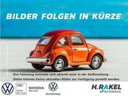 VW T7 Multivan, 2.0 TDI Multivan Style LÜ, Jahr 2024 - Geeste