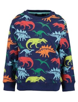 Blue Seven Sweatshirt