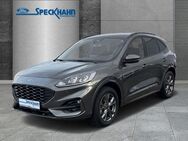 Ford Kuga ST-Line 2.5 Duratec -PHEV Kamera adapt. GRA SHZ el. Heckklappe - Celle