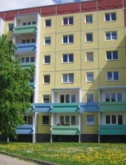 AUFZUG+SONNIGE 1-Raum-Wohnung zentral und gemütlich im GRÜNEN ! - Thale