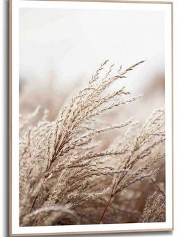 Reinders! Kunstdruck Gras