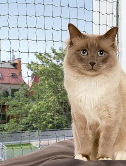 Trixie Katzenschutznetz mit Drahtverstärkung - L 8 x H 3 m