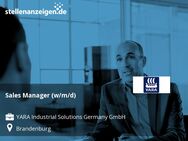 Sales Manager (w/m/d) - Brandenburg (Havel)