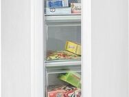 Hanseatic Gefrierschrank HGS8555CW, 85 cm hoch, 55 cm breit