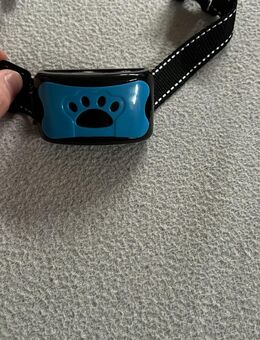 Hunde anti Bell Halsband mit Vibration und Geräusch! - Wittenberge