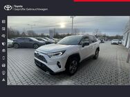 Toyota RAV 4, 2.5 4x2 Hybrid Style Selection, Jahr 2019 - Freising
