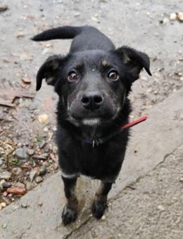 Wunderschöne Gia - Berlin