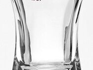 van Well Schnapsglas Wachtmeister Rotring, Glas, 0,2 L, geeicht, Spülmaschinengeeignet, Gastronomiequalität, 24-tlg.