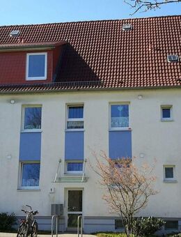 3 Zimmer in Schleswig - Schleswig