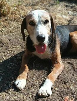 Jessi -carpe diem -wer hat ein Herz - Berlin