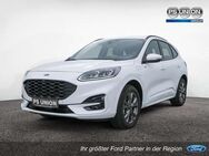 Ford Kuga 2.5 PHEV ST-Line KAMERA NAVI ACC HUD LED - Halle (Saale)