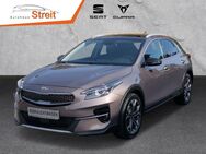 Kia XCeed, 1.6 T-GDI Platinum Edition El Panodach digitales, Jahr 2019 - Ostheim (Rhön)