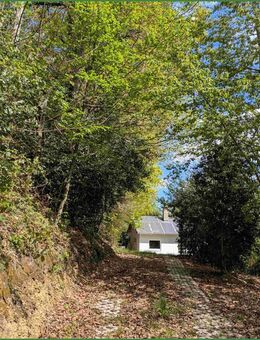 Energieautark, CO? neutral - Haus im Grünen in Diepental-Leichlingen - Leichlingen (Rheinland, Blütenstadt)