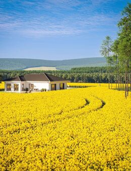Frei geplantes Haus auf traumhaftem Baugrundstück - Ihre Vision mit Bien-Zenker - Schipkau