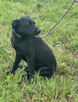 Zafir sucht tolle Abenteuer - Nordwalde