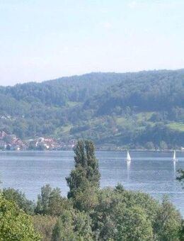 SEESICHT! ruhige 3.5 Zimmer DG-Wohlfühlwohnung mit Einbauküche u. Carport. Kleine Einheit, nahe Schweiz. - Gaienhofen