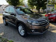 VW Tiguan PDC Panorama SAHK - Porta Westfalica