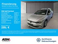 VW Golf Variant, 2.0 TDI Comfortline, Jahr 2021 - Sinsheim