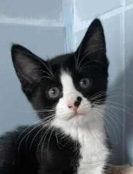 Mariola in Bulgarien - Ingolstadt