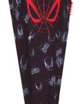 McNeill Schultüte Spider Man II