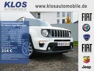 Jeep Renegade, 1.0 T-GDI LIMITED 4x2 PARK WINTER, Jahr 2022 - Kirn