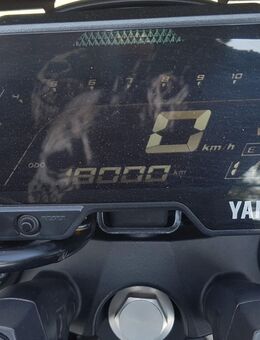 Yamaha MT-125 - Köln