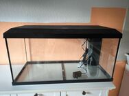 Verkaufe ein Juwel Aquarium 112l - Olbersdorf