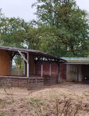 Offenstall Platz frei für Wallach in Berkhof/Wedemark in 30900