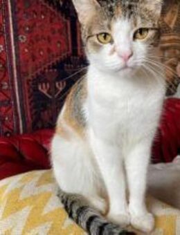 Twinky sucht ihre Familie - München
