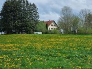 Absolute Alleinlage Perle Bauernhaus mit Herz Erholungsoase Weitblick 2 Wohnungen + Nebengebäuden - Niederrieden