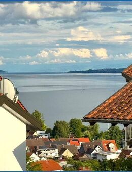 Idylle Pur, exkl. 3,5 Zi.-Wohnung mit See-und Alpensicht, optional mit ELW zu vermieten! - Bodman-Ludwigshafen