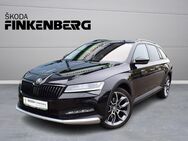 Skoda Superb, 2.0 TDI Combi Scout Final Edition, Jahr 2024 - Verden (Aller)