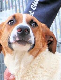 NOX - so ein netter Kerl! - Regensburg