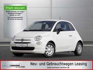 Fiat 500 1.0 Mild Hybrid Cult //Klimaanlage/DAB - Thannhausen