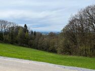 Alleinlage mit Aussicht! Haus mit Charakter und Potential + zusätzlichem Waldgrundstück! - Haibach (Regierungsbezirk Niederbayern)
